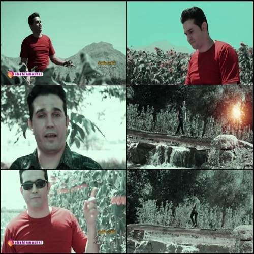 شاهین مظهری مانگ نازار